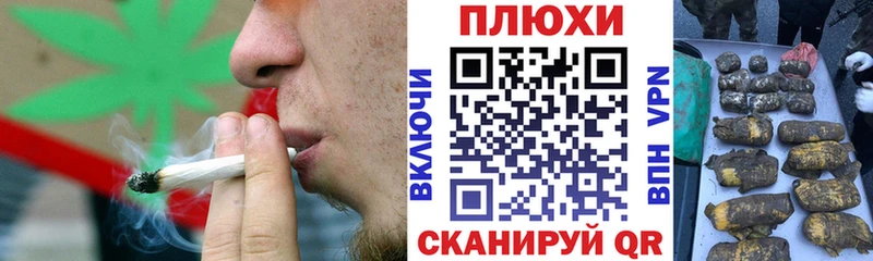 Купить где  Зеленоградск  ГАШ гашик 