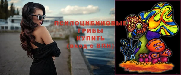 винт Горнозаводск