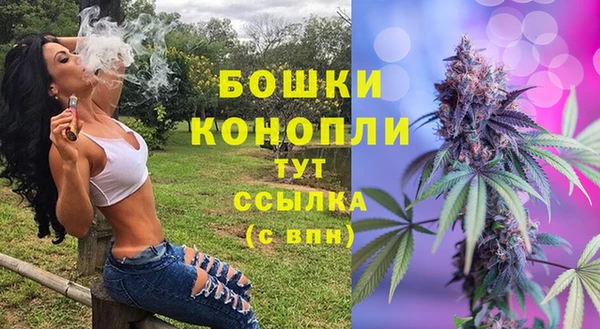 амф Вязьма