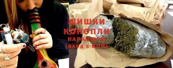 ГАЛЛЮЦИНОГЕННЫЕ ГРИБЫ Горно-Алтайск