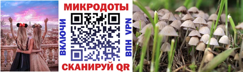 Купить где  Зеленоградск  Псилоцибиновые грибы MAGIC MUSHROOMS 